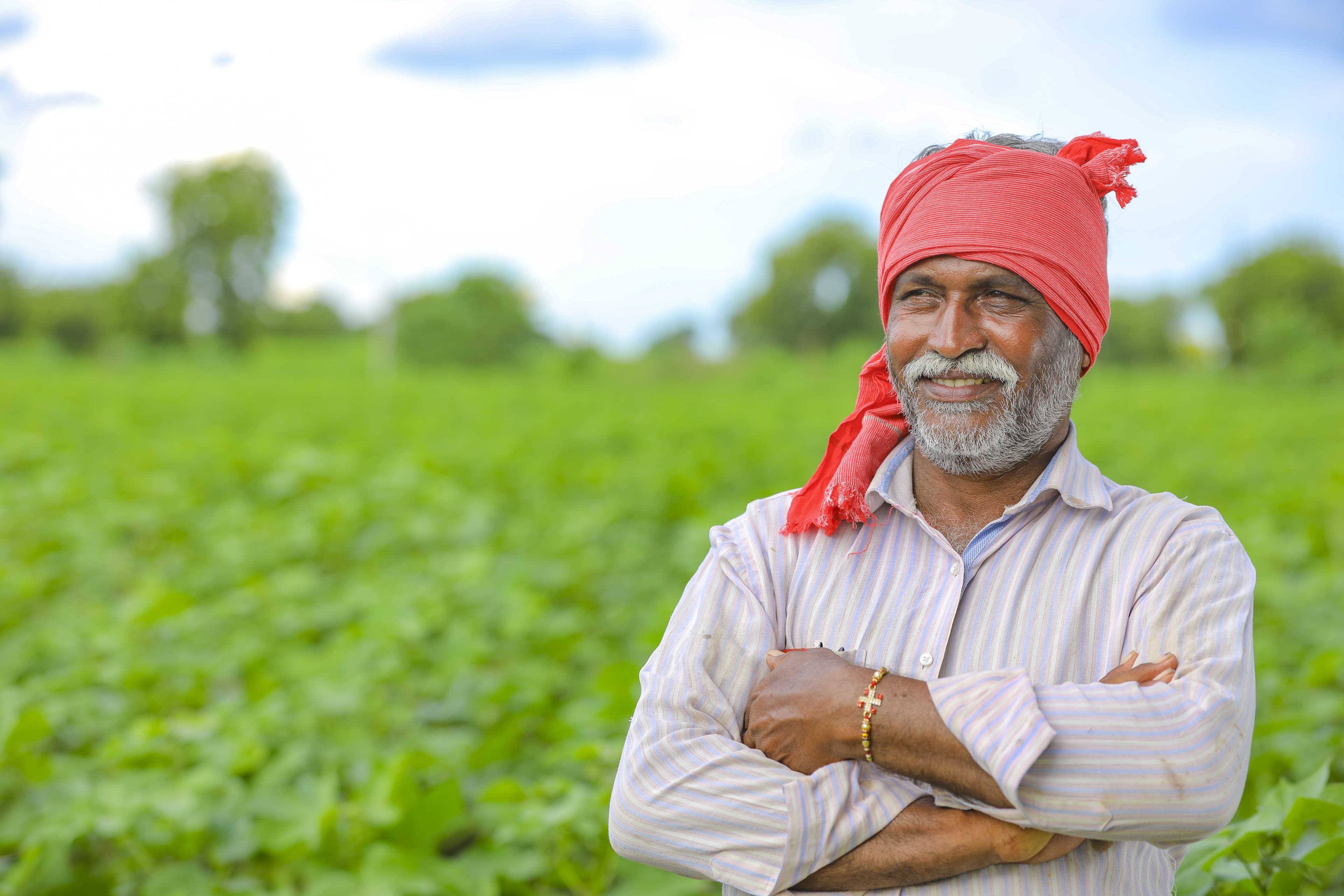 Farmer in Cotton Field